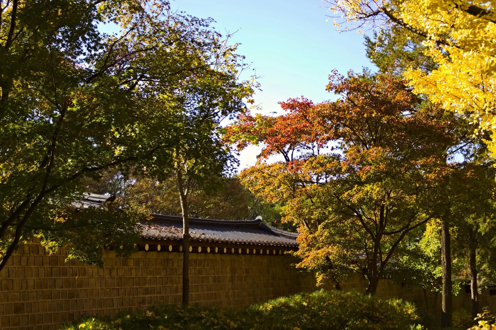 장례 비용, 실제로 얼마나 들까? 항목별 분석