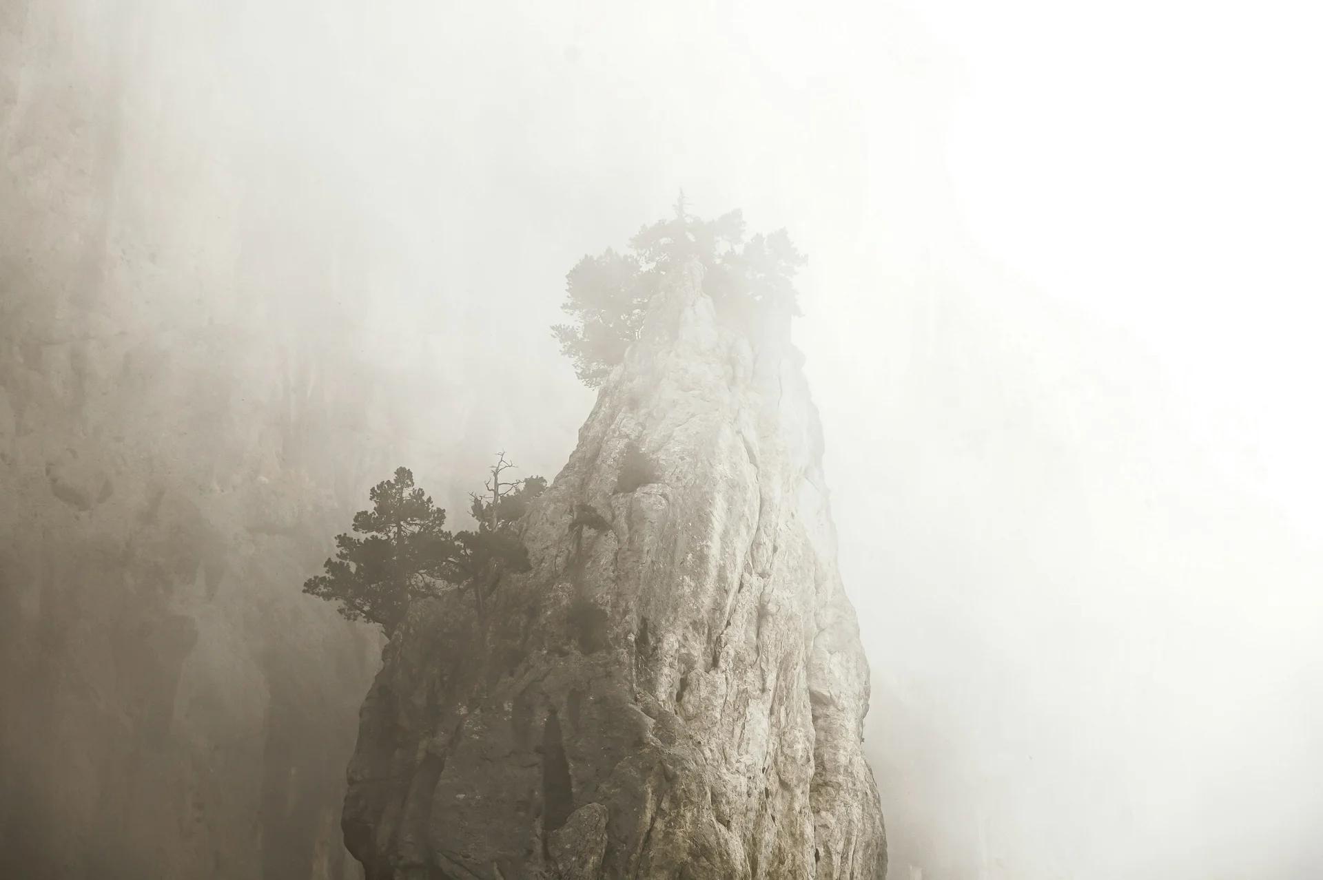 화장 절차와 비용: 알아야 할 모든 것