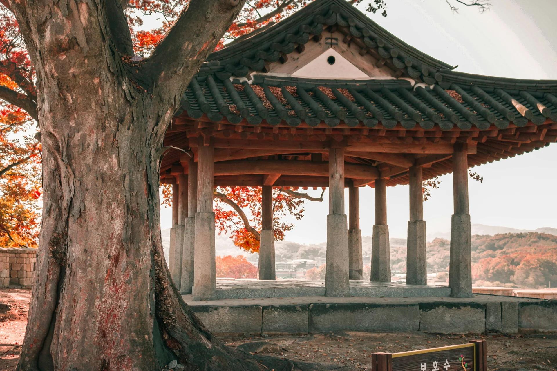 가족 부담 최소