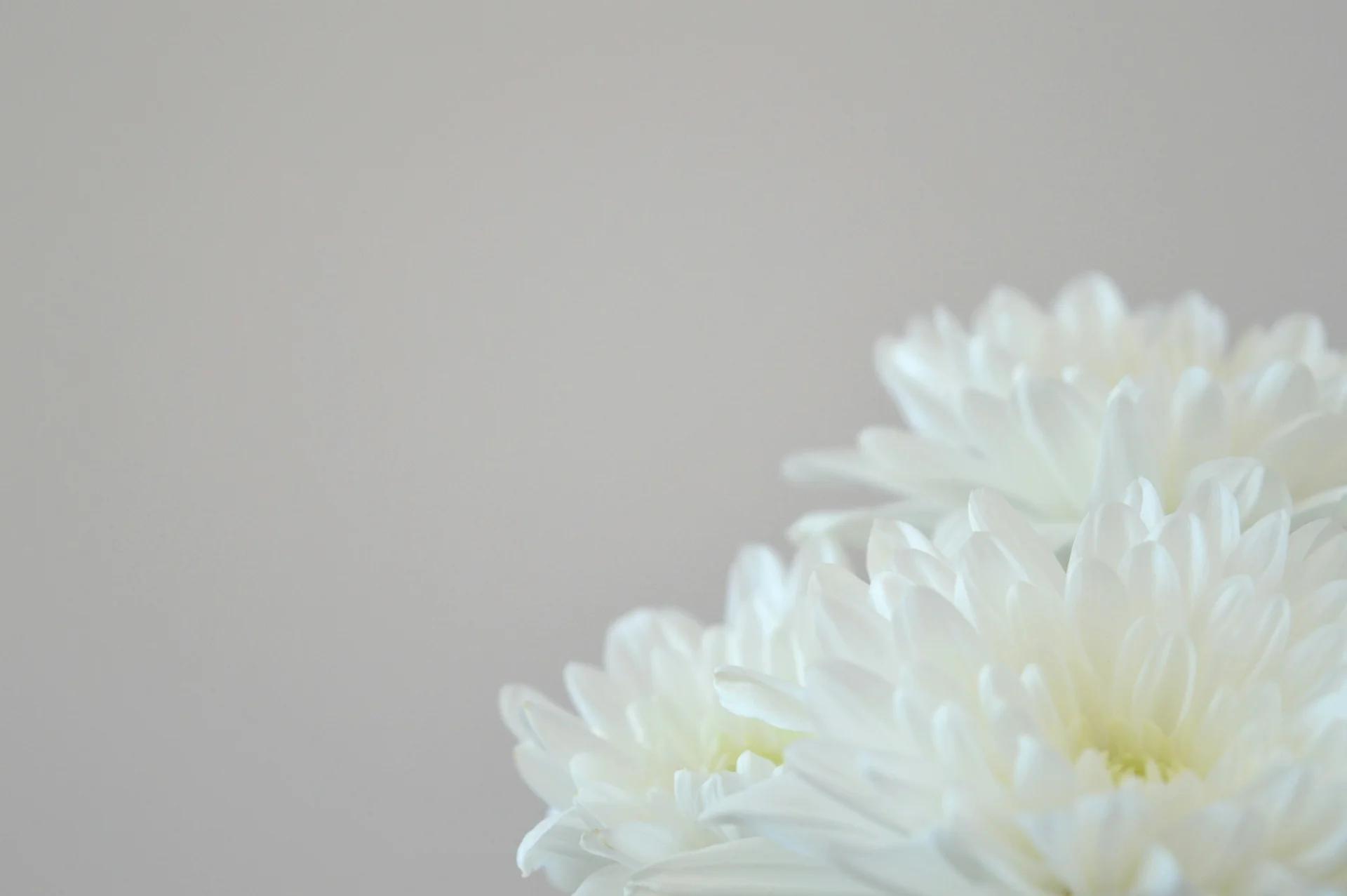 법적으로 문제없는 방식