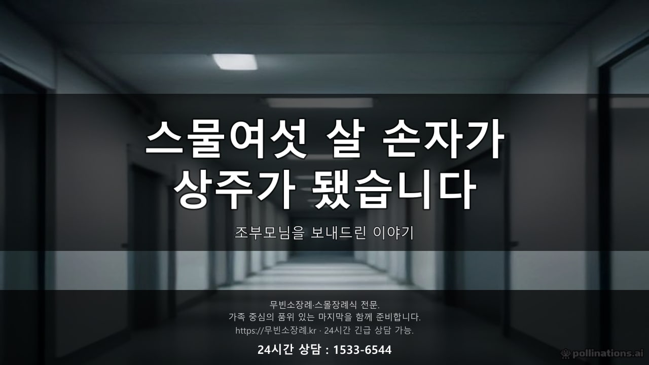 스물여섯 살 손자가 상주가 됐습니다, 조부모님을 보내드린 이야기